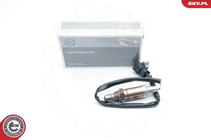 Oxygen Sensor